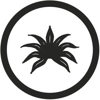 Agave Denim